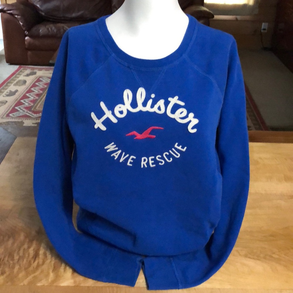 Hollister Wave Rescue sweatshirt